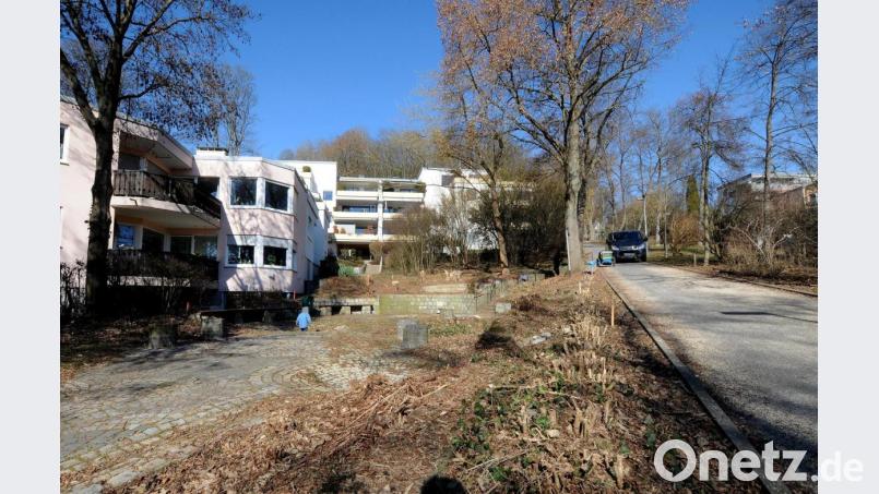 Schön schaut die radikale Abholzung am Lindenbrünnerl derzeit nicht aus. Doch das städtische Team Grün hat sich die Anlage gezielt vorgenommen und will hier eine Neubepflanzung vornehmen, die mehr als bisher auch ökologische Elemente aufgreift. Bild: Stephan Huber