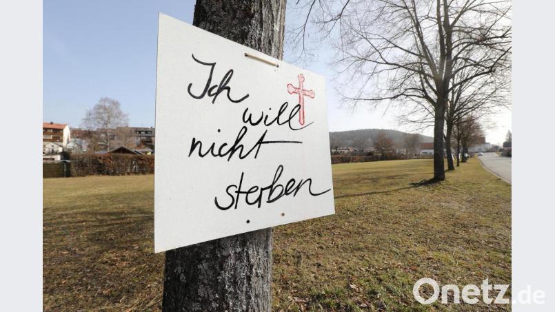 Emotionalität oder gar Polemik hat in der Auseinandersetzung um den Bürgerentscheid zum Wohnpark Adolf-Kolping-Straße schon länger einen festen Platz. Die Bäume entlang des gut 2800 Quadratmeter großen Grundstücks, die für die Wohnbebauung weichen sollen, sind mit Protest-Schildern versehen. Bild: Wolfgang Steinbacher