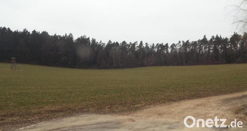 Die Bauleitplanung für das Baugebiet Lochnerstraße-West in Theuern ist auf den Weg gebracht. Elf Parzellen sollen dort entstehen, der weitaus größte Teil der Fläche bleibt jedoch erhalten. Bild: e