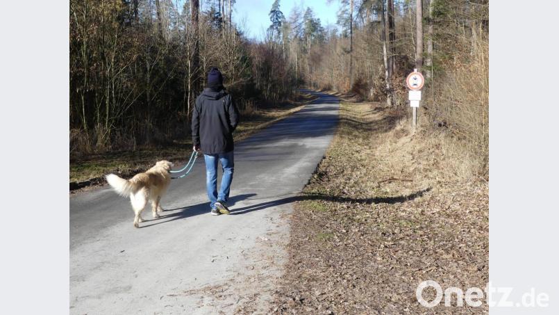 So ist es richtig: An der Leine kann der Hund nicht plötzlich zu einer Jagdaktion starten und Schaden anrichten. Bild: ige
