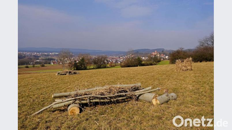 Hubert Schöner hat auf seiner künftigen Blühwiese und an anderen Stellen Unterschlupfmöglichkeiten für Rebhühner und Niederwild geschaffen. Bild: twi