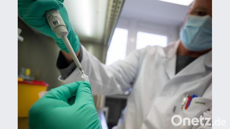 Alle bayerischen positiven Coronavirus-Proben werden aktuell in den Laboren und Instituten auf Mutationen untersucht. Symbolbild: Sebastian Gollnow