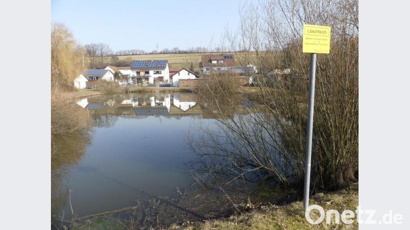 Der Löschteich in Apfelbach soll zum Dorfweiher abqualifiziert werden und damit ohne Einzäunung bleiben. Bild: rn