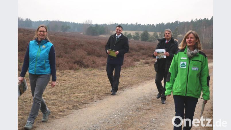 Biologin Dr. Christina Meindl, Landrat Thomas Ebeling, Regierungspräsident Axel Bartelt und Gebietsbetreuerin Birgit Simmeth (von links) stellten bei einem Spaziergang durch die Heidelandschaft bei Bodenwöhr die neue Broschüre „Natur Vielfalt Oberpfalz“ vor. Bild: Hirsch