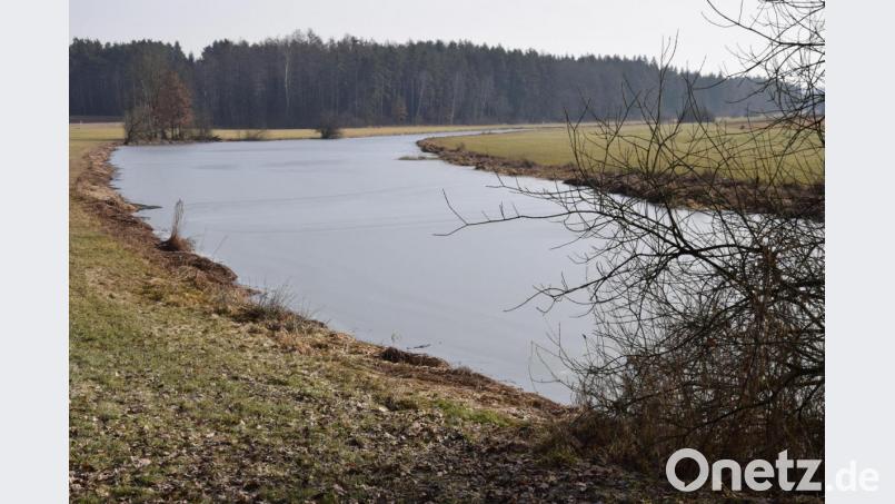 Der Fürstengraben mündet in den Fürstenweiher (Bild). Ab dann heißt das Gewässer Elsenbach, der auf der gesamten Länge bis zur Einmündung in die Vils bei Wolfsbach neu gefasst werden soll. Bild: bö