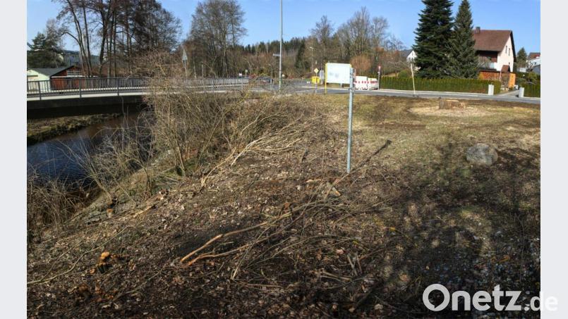 Hier wollte die SPD einen Uferpfad anregen. In der Stadtratssitzung in Erbendorf kam es deswegen zu heftigen Diskussionen. Bild: njn