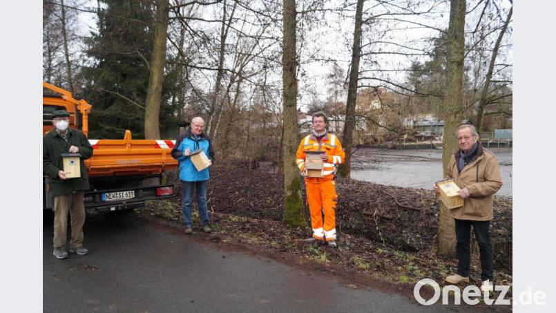 Franz Baumgartner, Peter Reim, Karl Bodensteiner und Richard Wittmann (von links) bringen 15 Vogelnistkästen im Schirmitzer Wald entlang des Ringweges an. Bild: du