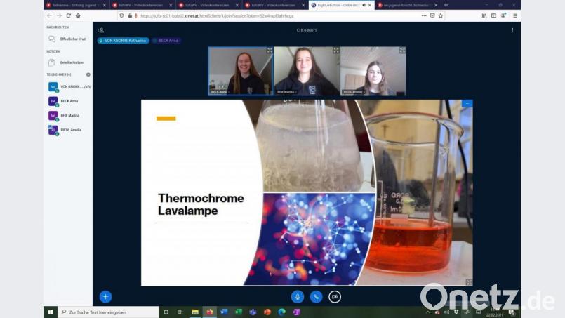 Das DJDS-Team &quot;Lavalampe&quot; bei der Online-Preisverteilung. Screenshot: Peter Ringeisen/exb