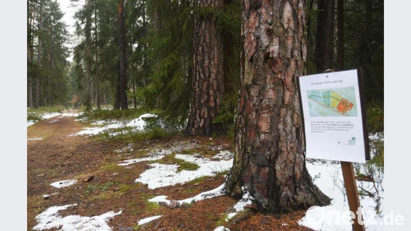 Das Aktionsbündnis Walderhalt war bei den Bürgerentscheiden erfolgreich. Die Stadt stellt deshalb alle Arbeiten für das geplante Gewerbegebiet West IV ein. Zugleich aber startet der Stadtrat die Suche nach kleineren Flächen, die für siedlungswillige Betriebe intessant sein können. Dabei hilft künftig auch ein &quot;runder Tisch&quot; als Beratungsgremium. Bild: Gabi Schönberger
