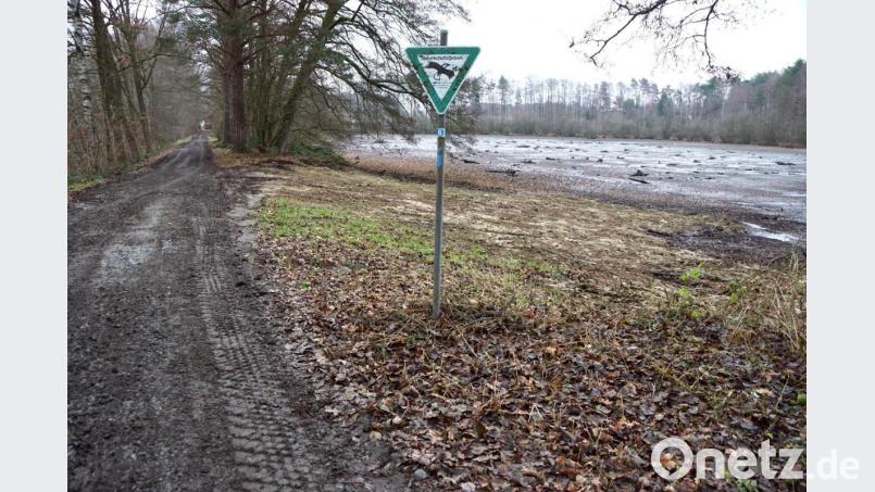 Eine Lehmschicht auf der flachen Zone des Mönchs soll künftig die Biber abhalten Gräben und Röhren anzulegen. Bild: bkr