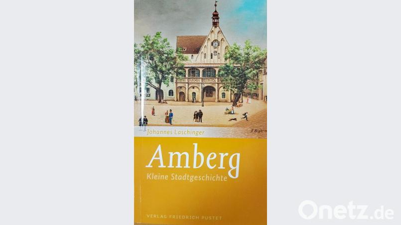 Eine Chronik: &quot;Amberg: Kleine Stadtgeschichte&quot;. Repro: Petra Hartl