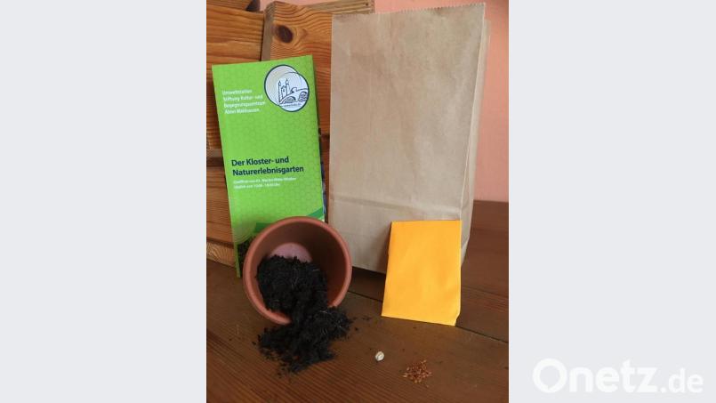 Der Inhalt der Taschen. Bild: Markgraf-Diepold-Grundschule/exb