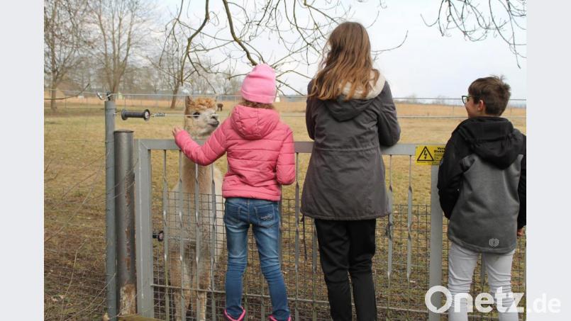 Die Ministranten in Neudorf bleiben auch in Coronazeiten ihre Bewegung. Ihre neueste Aufgabe: &quot;Lauft nach Rom&quot;. Bild: Regina Sier/exb