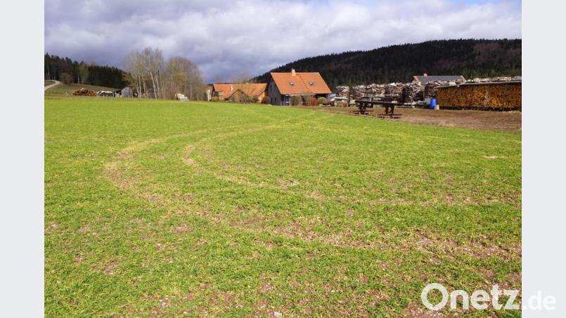 In unmittelbarer Nähe der geplanten PV-Anlage sind die ersten Häuser. Den Geräuschemissionen aus der Anlage will der Gemeinderat die Anlieger nicht aussetzen. Unser Bild zeigt nur einen kleinen Ausschnitt der rund 2,3 Hektar großen Ackerfläche auf der die PV-Anlage gebaut werden soll. Bild: bkr