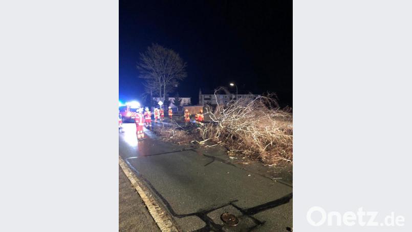In Weiherhammer zersägte die Feuerwehr eine umgestürzte Birke in der Hauptstraße. Bild: Feuerwehr Weiherammer/exb