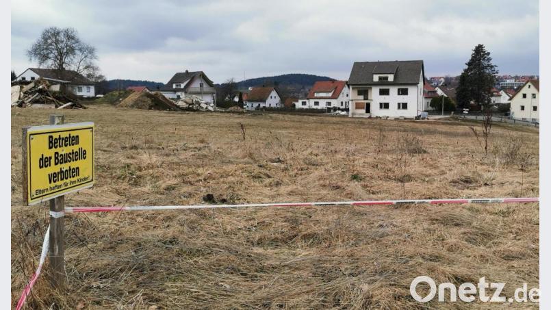 Gute Aussichten, dass das Projekt für dringend benötigten Wohnraum klappt: Auf der Wiese zwischen B 22, Eigelsberger Straße und Wiesengrund, will ein örtlicher Investor acht Häuserblocks in die Höhe ziehen. Bild: Portner