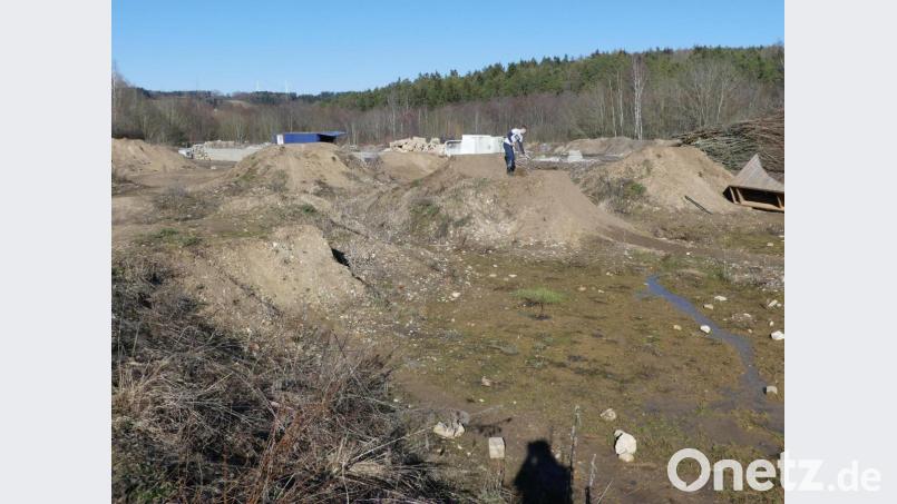 Schmale Verbindungswege verbinden die Hügel der Pumptrack-Anlage Auerbach Bild: rn