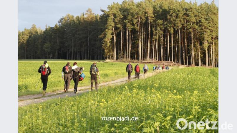 Im Wandertempo geht es am 19. Juni durch den westlichen Landkreis Amberg-Sulzbach. Bild: Christian Koch/exb