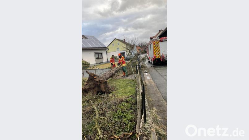 In einem Garten in Weiherhammer sägt die Feuerwehr Weiherhammer einen Baum auseinander, den Sturmtief Klaus entwurzelt hat. Bild: Feuerwehr Weiherhammer/exb