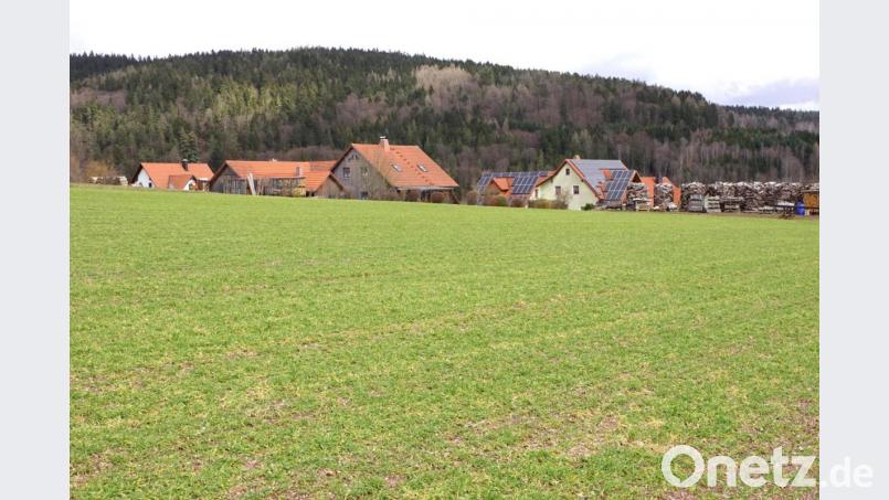 In unmittelbarer Nähe der ersten Häuser würde die geplante Photovoltaikanlage bei Ahornberg stehen. Den Geräuschemissionen aus der Anlage will der Gemeinderat die Anlieger nicht aussetzen. Das Bild zeigt nur einen kleinen Ausschnitt der rund 2,3 Hektar großen Ackerfläche, auf der sie gebaut werden sollte. Bild: bkr