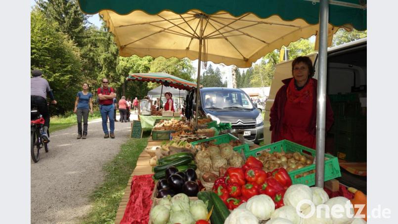 Die Öko-Modellregion Steinwald setzt sich für nachhaltige Themen in der Region ein. Aus diesem Grund ist die Steinwald-Allianz auch beim vierten &quot;World Organic Forum&quot; dabei. Archivbild: njn