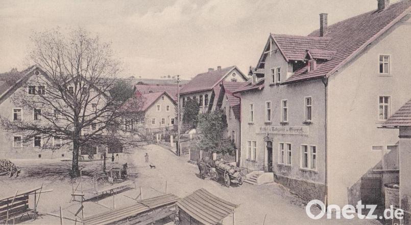 Die Ansichtskarte stammt aus dem Jahr 1914. Die Eiche auf dem Bild ist zu dieser Zeit 43 Jahre alt. Repro: soj