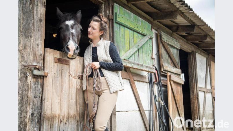 Wenn das Tier nicht auf der Weide steht, muss es jeden Tag bewegt werden. Pferdehalter sollten dafür etwa zwei Stunden täglich einplanen. Bild: Christin Klose/dpa