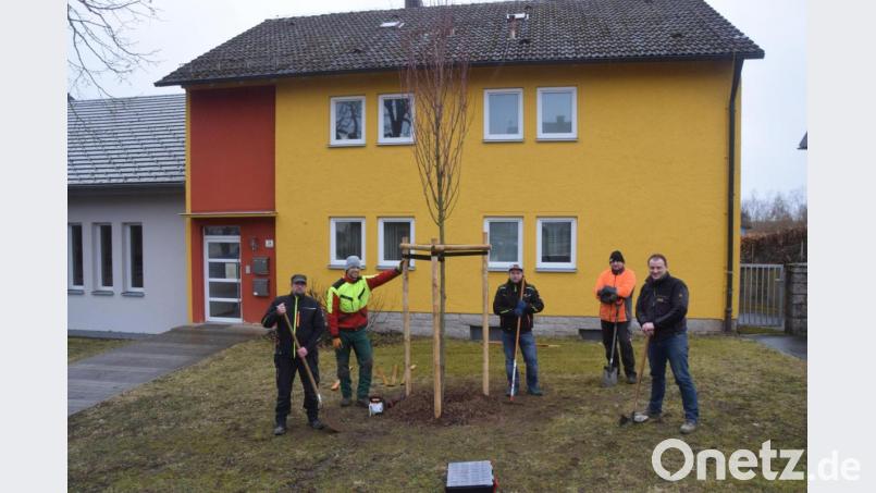Bürgermeister Anton Kappl (rechts) und sein Team pflanzen einen von drei Klimabäumen. Bild: fz