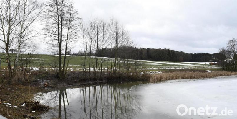 Die geplante Photovoltaik-Freiflächenanlage direkt neben dem Postweiher ruft die Anwohner auf den Plan. Am Montagabend kamen sie zahlreich in die Stadtratssitzung. Bild: Petra Hartl