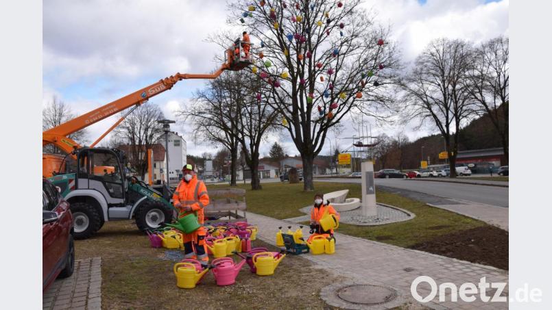Sie sind erste Frühlingsboten bei der Kunstwanderstation in Schmidmühlen: Knapp 300 Gießkannen baumeln heuer – derzeit noch im Schneegestöber an den Zweigen. Bild: bö