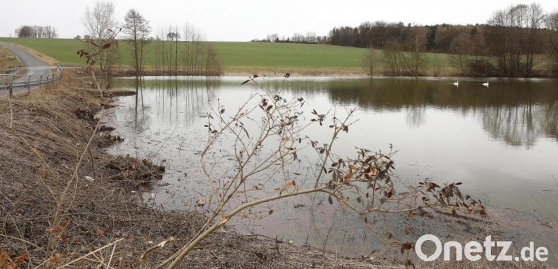 Auf diesem Acker direkt neben dem Postweiher wollen die Stadtwerke eine vom Stadtrat genehmigte Freiflächen-Photovoltaikanlage errichten. Bild: Wolfgang Steinbacher