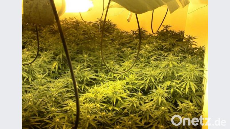 Für die Einfuhr von Marihuana muss der Angeklagte nun lange ins Gefängnis. Symbolbild: pichture alliance/dpa/Guardia Civil