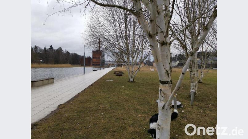 Der Auenpark war im Jahr 2006 Ort der grenzübergreifenden Gartenschau Marktredwitz-Eger. Bild: fphs