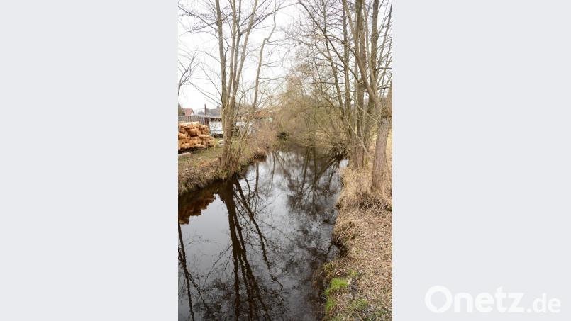 An der Brücke in der Miesbrunner Straße hat der Werkkanal des Zottbaches, der die Bartlmühle mit Wasser versorgt eine ansehnliche Breite. Bild: bey