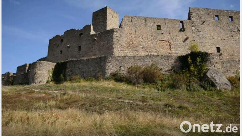 In einem Filmbeitrag, der am Sonntag um 14.30 Uhr im Bayerischen Rundfunk zu sehen ist, wird auch auf die Landgrafen von Leuchtenberg eingegangen. Bild: Josef Schönwetter/exb