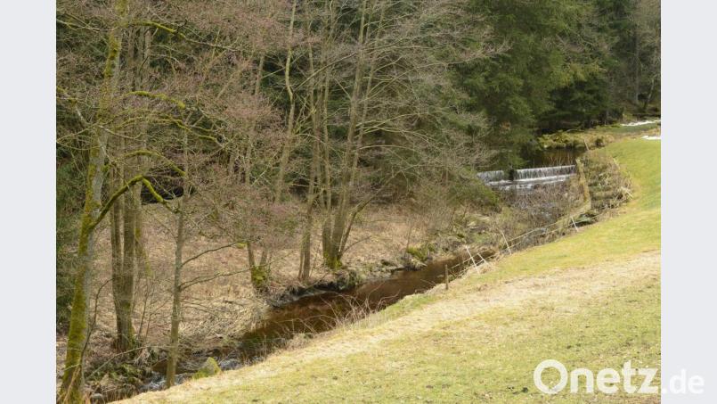 Oberhalb von Neuenhammer ein sich regelmäßig wiederholendes Bild: Der Zottbach teilt sich in Altwasser (unterer Bildteil) und den Werkbach oder auch Triebwerkskanal. Die Teilung des Gewässers erfolgt immer an einem Wehr, dessen Höhe in einem wasserrechtlichen Bescheid festgelegt ist. Bild: bey