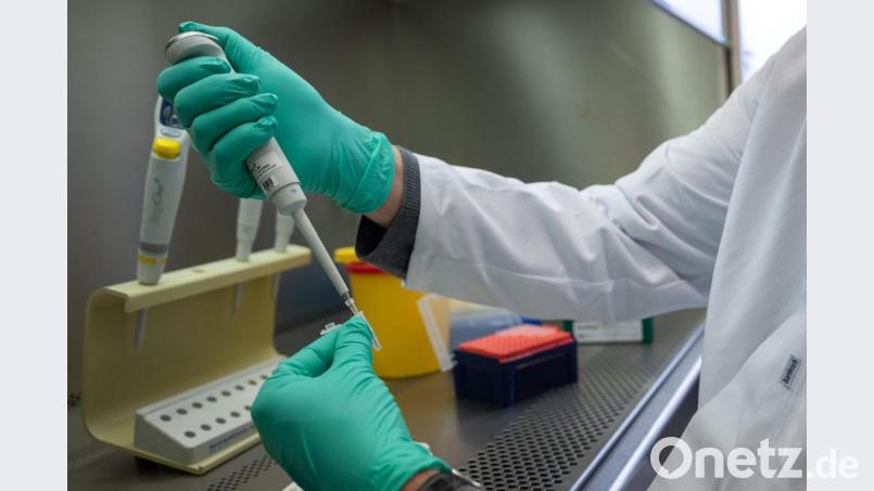 Ein Forscher zeigt im Landesgesundheitsamt Baden-Württemberg, wie ein PCR-Test für die Analyse auf Mutationen des Coronavirus vorbereitet wird. Symbolbild: Sebastian Gollnow/dpa