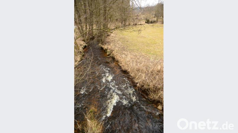 Unterhalb von Waldheim führt der Zottbach bereits eine ansehnliche Wasser. Im Bild ist der Altbach nahe Waldheim, die restliche Wassermenge führt der dortige Mühlbach. Bild: bey