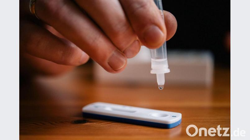 Lösung auf eine Testkassette träufeln und dann eine Viertelstunde warten, ob Verdacht auf eine Coronainfektion vorliegt. Dieses Ritual könnte demnächst hundertfach an Schulen Realität werden. Bild: Zacharie Scheurer/dpa