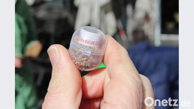 Kapsel aus Kunststoff? Dem Kreisvorsitzendem Hans-Jürgen Bumes ist das ein Dorn im Auge. Anregungen nimmt der Stadtrat jederzeit entgegen. Bild: Williamson, Dagmar