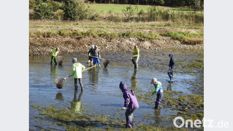 Dreckig, aber glücklich! Die Schlaufüchse sind meistens draußen unterwegs, lernen einen Menge über die Natur und haben viel Spaß dabei. Bild: Baumann/exb