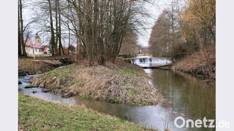 Die Verlandung der Creußen bei Tremmersdorf schreitet voran. Ein ökologischer Umbau des Flussbettes ist deshalb unumgänglich. Zum Stand der Planungen findet voraussichtlich am 8. Mai auf dem Festplatz in Tremmersdorf ein öffentlicher Besprechungstermin statt. Bild: do