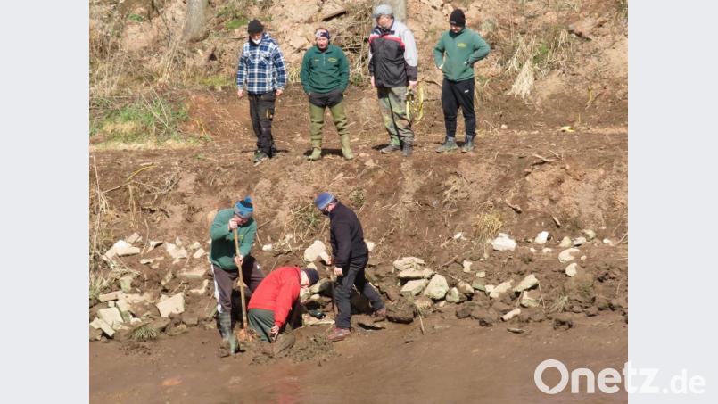 Der Schlamm in einem Weiher kann tückisch und gefährlich sein. Beim Retten eines aufgelaufenen Fisches blieb Max Pfleger im Schlick stecken und konnte nur mit Hilfe von Kameraden das rettende Ufer erreichen. Bild: ow