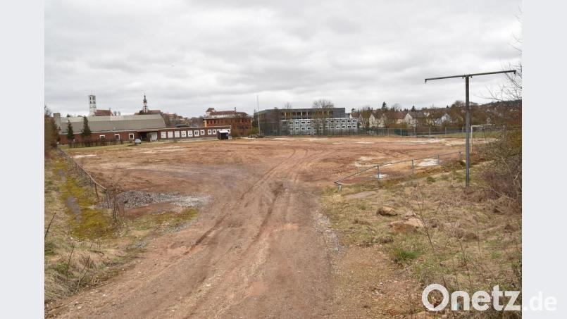 Nördlich von Sportpark und Walter-Höllerer-Realschule gelegen, soll auf diesem Gelände im Jahr 2023 die neue Kindertagesstätte „Eulenland“ mit weit über Hundert Plätzen ihren Betrieb aufnehmen. Je drei Gruppen sind dann dort für den Kindergarten und die Kinderkrippe vorgesehen. Bild: Andreas Royer