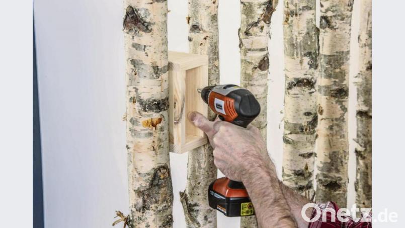 Eine Garderobe oder ein Raumtrenner aus Birkenholz lässt sich erweitern um kleine Fächer zwischen den Stämmen. Bild:  Selbst ist der Mann/dpa