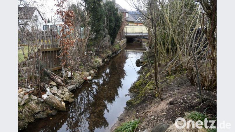 Der Schneeschmelze sei dank: Der Rehmühlbach führt derzeit Wasser. Keine Selbstverständlichkeit. Bild: Gabi Schönberger