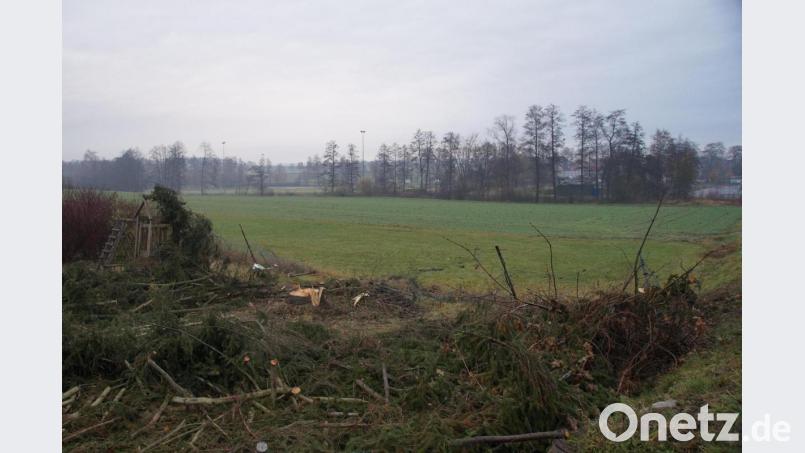 Zum Neubau der Realschule gehört auch ein neuer Sportplatz. Dieser soll auf einer Fläche entstehen die als &quot;Bodendenkmal&quot; gekennzeichnet ist. Unter ihr befinden sich Überreste von &quot;Altenkemnath&quot;. Bild: kaz