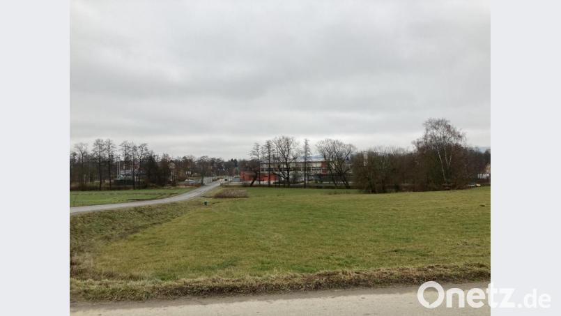 An dieser Stelle soll die Realschule &quot;Tor zur Oberpfalz&quot; gebaut werden. Bild: stg