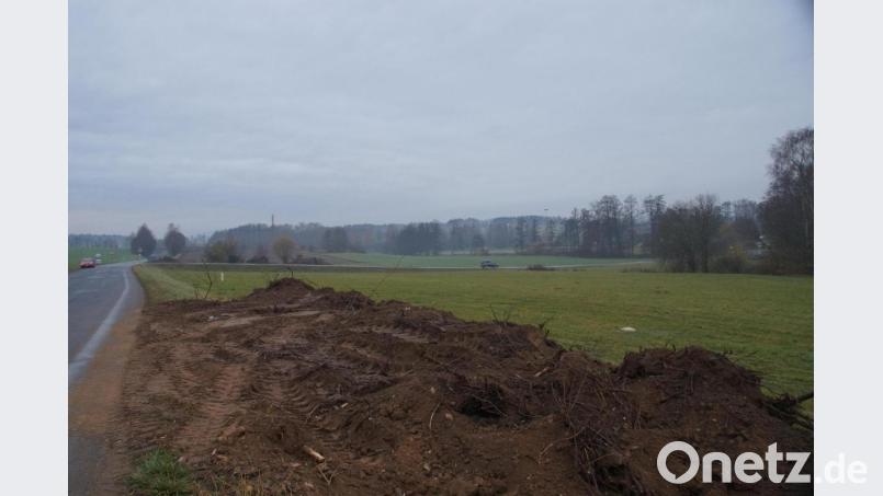 Die neue Realschule samt Dreifachturnhalle soll auf dieser Fläche entstehen. Das Bodendenkmal befindet sich nach der Badstraße, oberhalb des Freisportgeländes. Bild: kaz