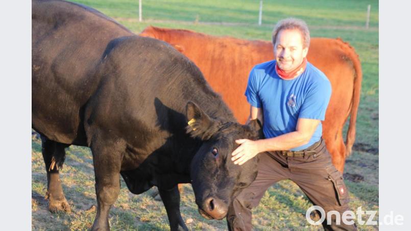 Thomas Rosner mit seinem Prachtbullen "Bartl": Gegenseitiger Respekt ist vorhanden. Bild: kro